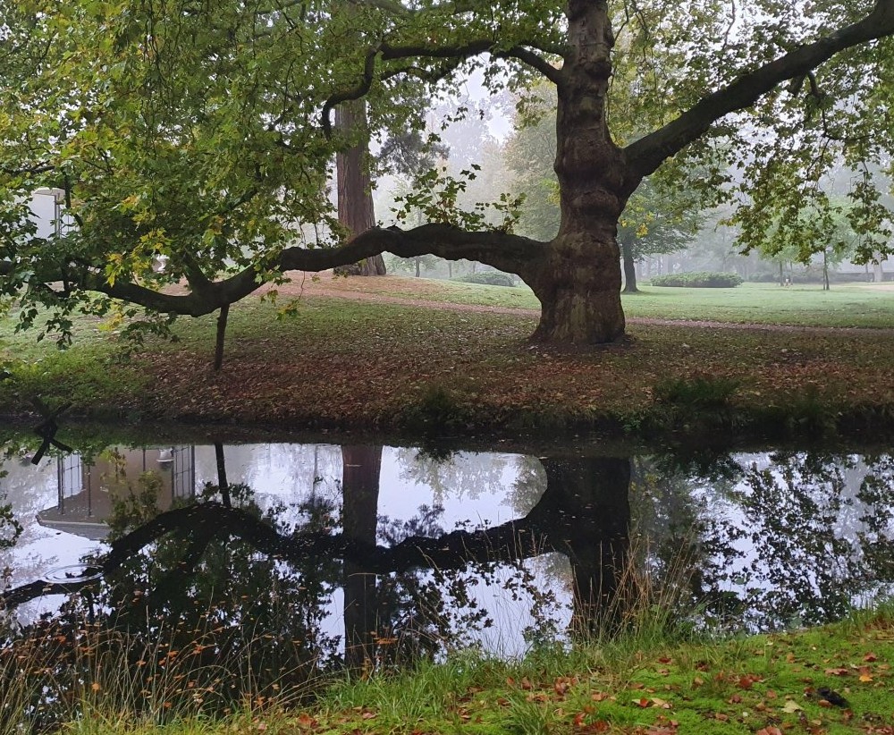 Coachingstrajecten en Workshops